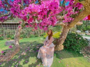 Tour Đà Lạt – Cầu Đất – Vườn Rau Sạch – Tà Nung – 550k