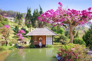Top 8 Tour Đà Lạt – Tour Đà Lạt 1 Ngày Tốt Nhất