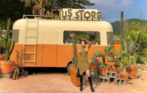 Tour Sài Gòn – Đà Lạt Tết – 3 Ngày 2 Đêm – Từ Mùng 1