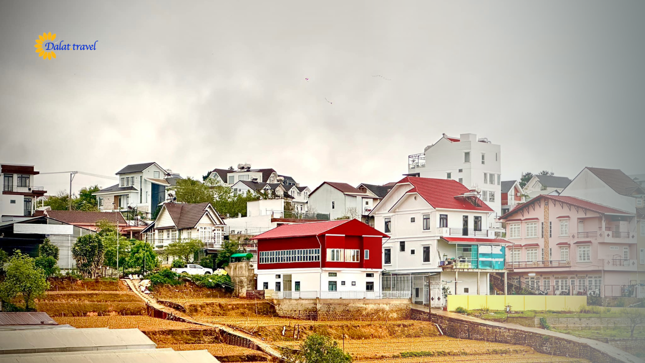Liên hệ