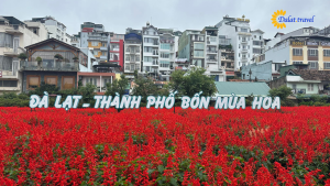Tour Đà Lạt Các Điểm Mới 3 Ngày 2 Đêm