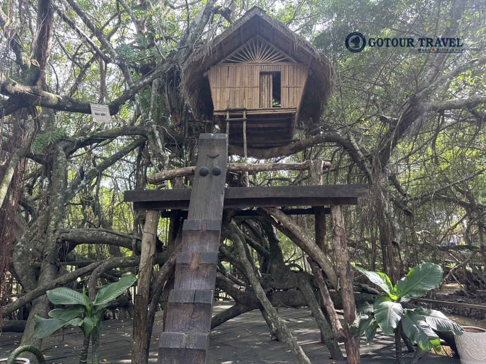 Nhà trên cây tại Buôn Đôn
