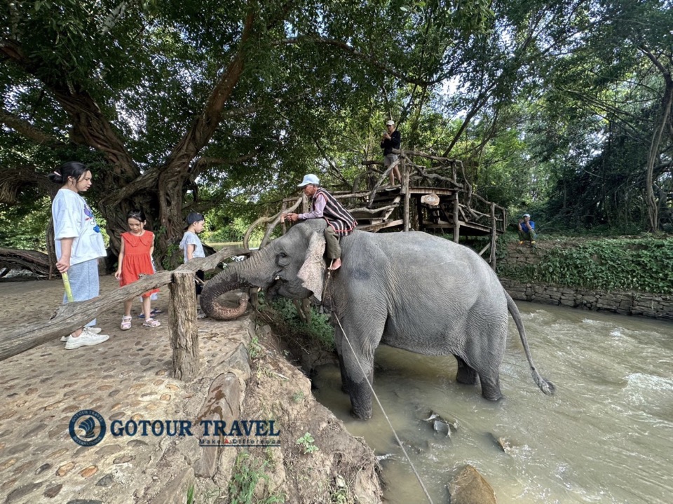 Trẻ em cho voi ăn tại Buôn Đôn
