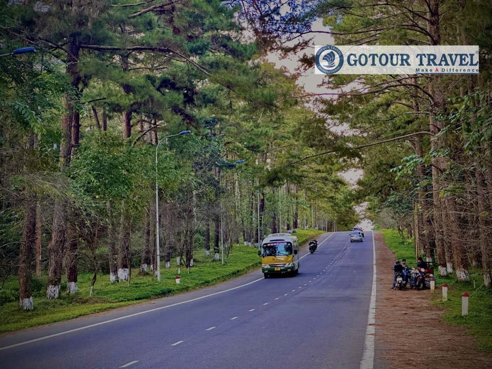 Tour du lịch từ Quy Nhơn đi Măng Đen 2 ngày 1 đêm