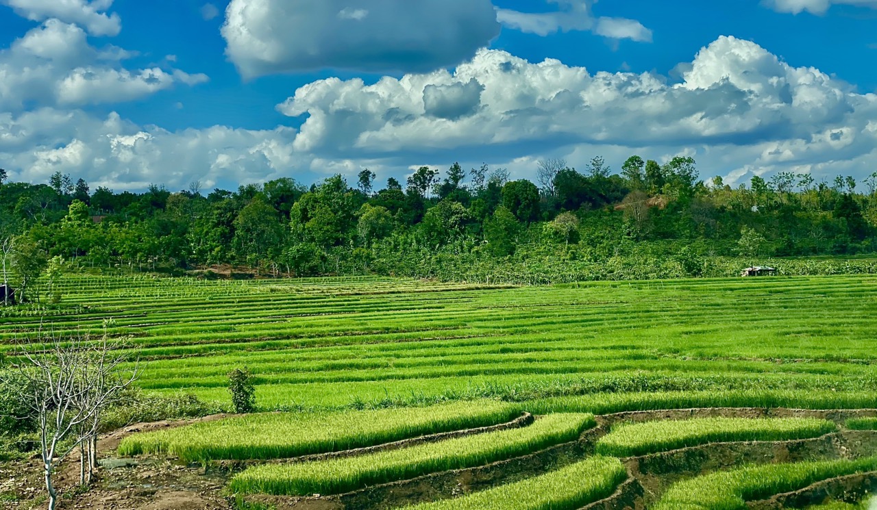 Tour Phú Yên – Gia Lai – Măng Đen 4 ngày 3 đêm